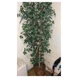 Approximately 72 faux tree  in the basement