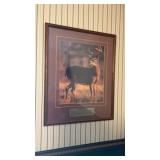 Wild Kingdom Series White Tailed Deer Framed &