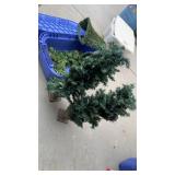 2 Pine Christmas Trees, Approx 3ï¿½ Tall & Bells