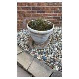 Grouping of Flower Pots