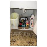 Grouping of Bathroom Items, Shoe Cleaning Items,