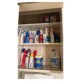 Grouping of Laundry Items, Bleach, Zap and more