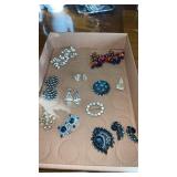 Womanï¿½s costume clip earrings, and beautiful