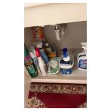 Group of Cleaning Supplies/Chemicals