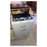 2 drawer file cabinet  approximately   28.5 x 15
