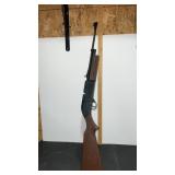 760 Pumpmaster Air Rifle