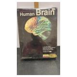 Lindberg Human Brain Sealed NIB