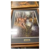 Birch creek whitetail deer rosemary millette