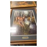 Birch creek whitetail deer rosemary millette