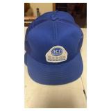 10 Unused ICI Seeds Blue Mesh Caps