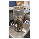 Glass Jar of Nickels , 4 Pounds 7 Oz