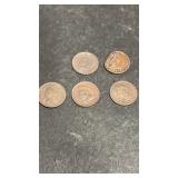 5 Indian Head Pennies 1893-1907