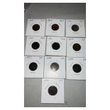 (10) mixed dates Indian head cents