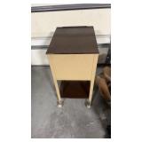 Metal rolling cabinet. Approximately  17.5 x 13.5