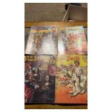 (4). Adult comic books