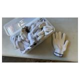 Small container of gloves