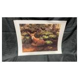 Limited Edition Print ï¿½sheltering Armsï¿½ by Artist