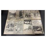 8 Vintage Montana Wildlife Magazines Late 1920s-
