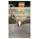 Taxidermy 10 point Elk semi Euro Mount.  Wood
