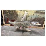 Taxidermy Northern Pike Mounted on Drift wood.