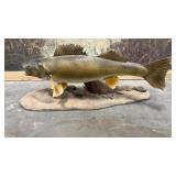 Taxidermy Walleye on a lake bottom Stand Approx.