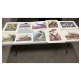 Misc. artist on prints of Variety of Birds.  15
