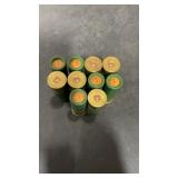 10 Loose 2 3/4ï¿½ Remington Express 12ga. 5 Shot