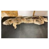 Tanned Canadian Lynx Hide. Used for Wall Decor or