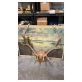12 points Elk Antlers on plaque (Browing Picture