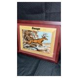 Framed and matted vintage, savage Stevens, and
