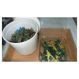 Plastic Army Soldiers, Various Sizes