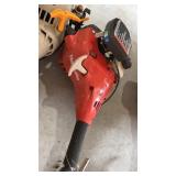Homelite weed eater