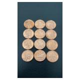 (12) One AVDP Ounce .999 Copper Buffalo Rounds