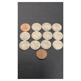 (12) Buffalo Nickles & (1) 1902 V Nickle