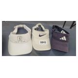 (3) VISORS