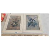 (2)  FRAMED BIRD WALL ART