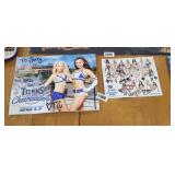 TITANS CHEERLEADERS 2016. 2017 CALENDARS