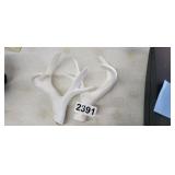 WALL HANGING ANTLERS