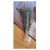 BUNDLE OF REAL PEACOCK FEATHERS