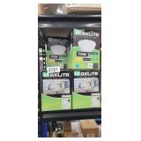 (5) MAXLITE BULBS