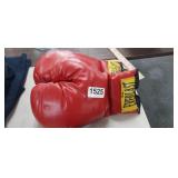 EVERLAST BOXING GLOVES