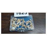 LOT OF SHARK TEETH