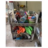 ORGANIZER OF CAR CLEANING GOODIES