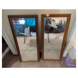 2 WATERFOWL REFLECTIVE PICTURES