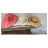 (3) HATS