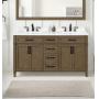 Home Decorators almond latte bathroom vanity