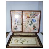 Framed flower art