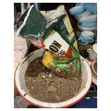 Enamel Wash Tub With Plant Soil