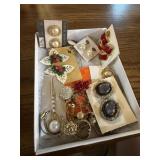 Assorted Jewelry Earrings Pins Pendants Lot