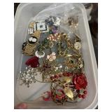 Jewelry Pins Necklaces Lot